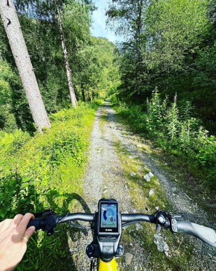 A7EA352E-B75E-4117-BD4C-AA2E45204F54