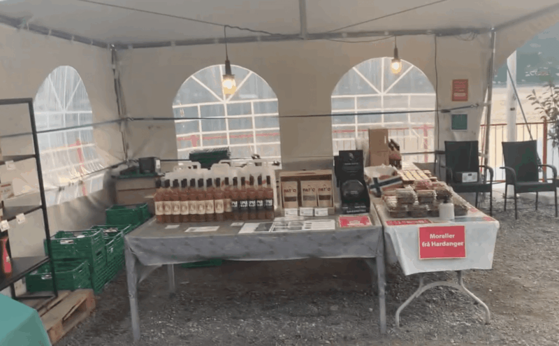 Screenshot 2025-03-25 at 12.29.24