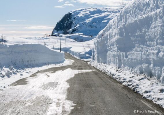 494951745_1086531530174568_8000248813451011635_n