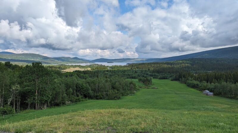 PXL_20230619_153407915