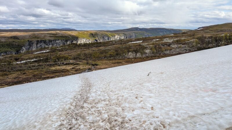 PXL_20250622_115513903