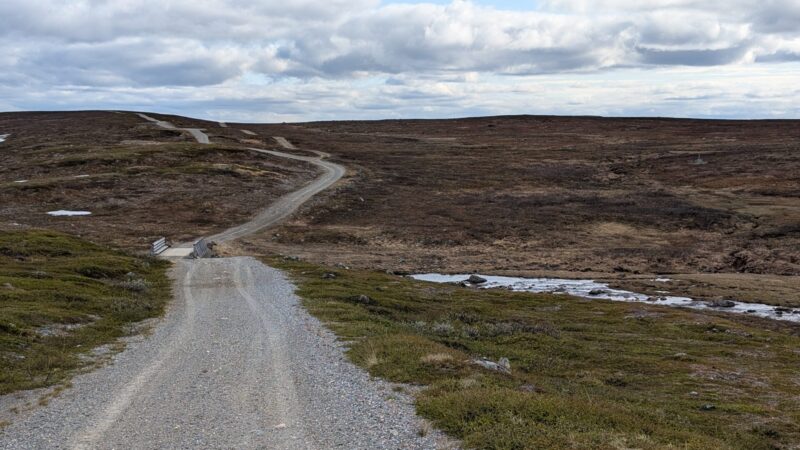 PXL_20250622_144417454