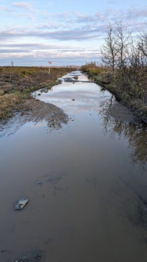 PXL_20250622_210507243