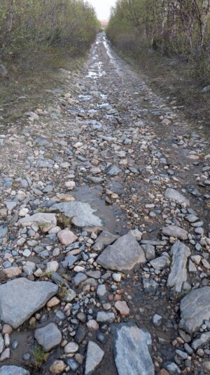 PXL_20250622_211459920