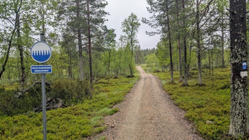 PXL_20250624_105028072