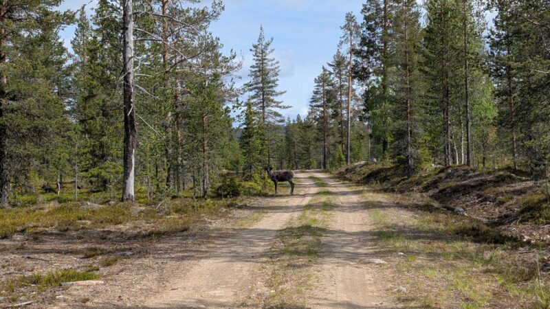 PXL_20250625_121752375