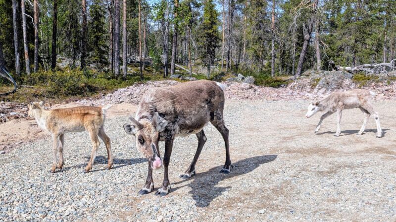 PXL_20250625_125251987~2