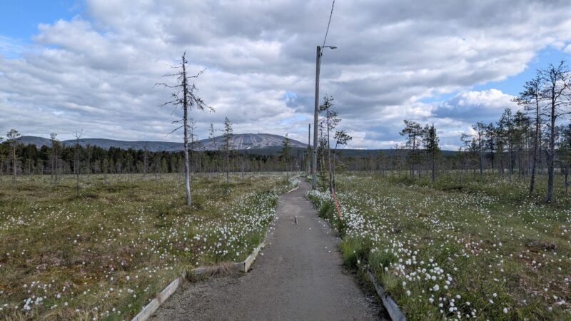 PXL_20250625_151039166