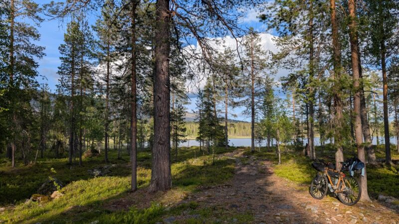 PXL_20250625_170706908