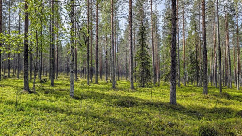 PXL_20250626_093311337