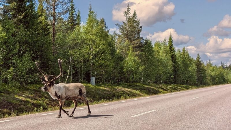 PXL_20250627_091029278~2