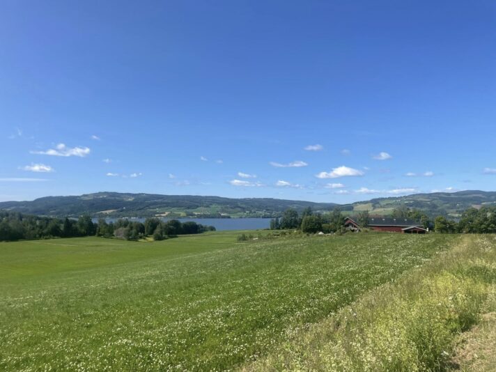 508645823_1262784898900324_2602676524984949619_n