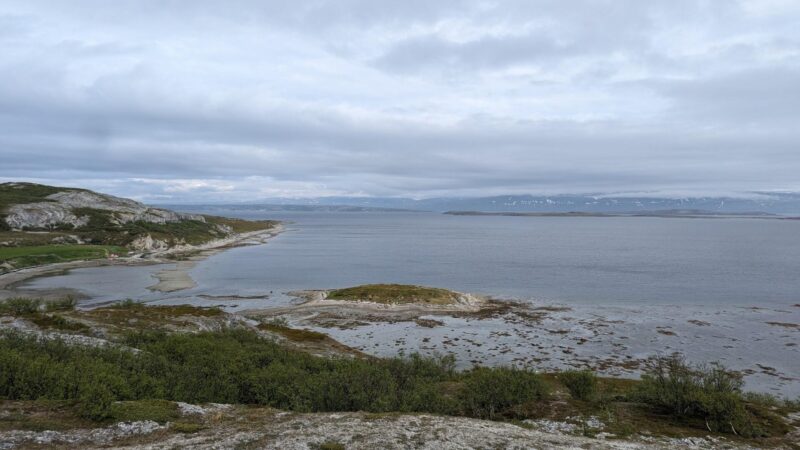 PXL_20240612_153336259