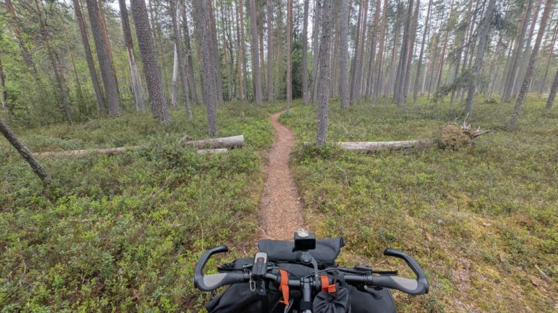 PXL_20250610_103647596