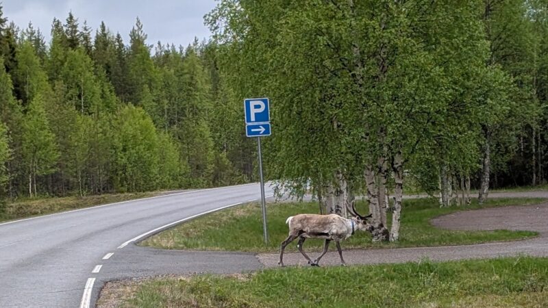 PXL_20250611_163846003~2