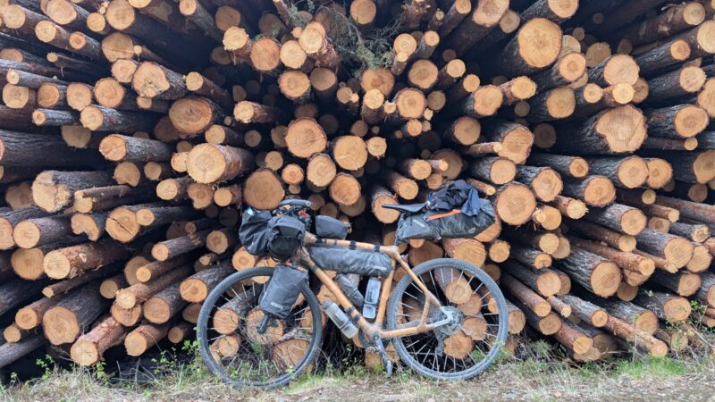 PXL_20250613_183427655