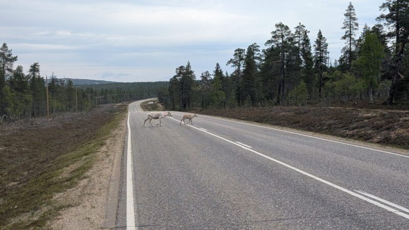 PXL_20250614_110001775