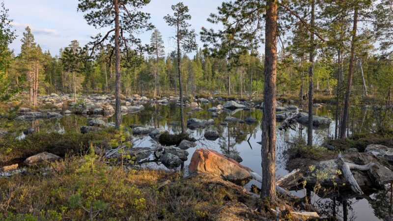 PXL_20250614_182950678