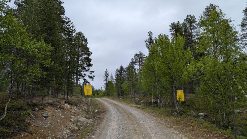 PXL_20250615_081302562