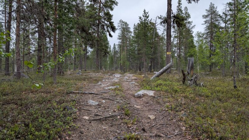 PXL_20250615_082052225