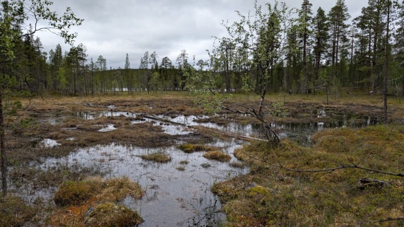 PXL_20250615_093605712