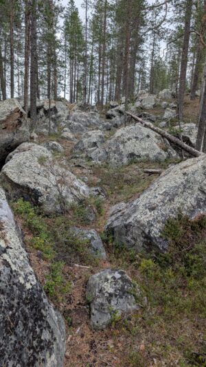 PXL_20250615_110443968