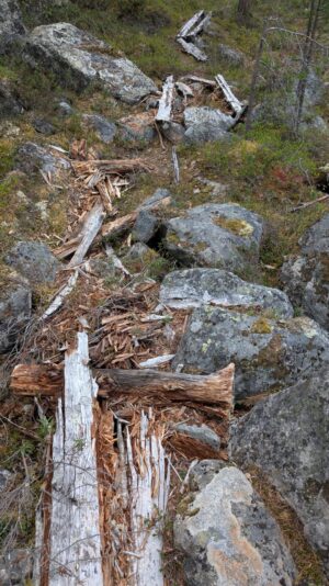 PXL_20250615_110832545