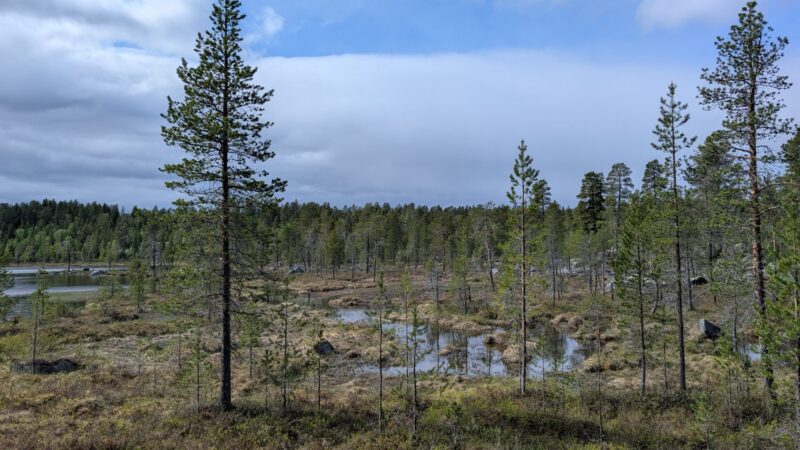 PXL_20250615_113902385