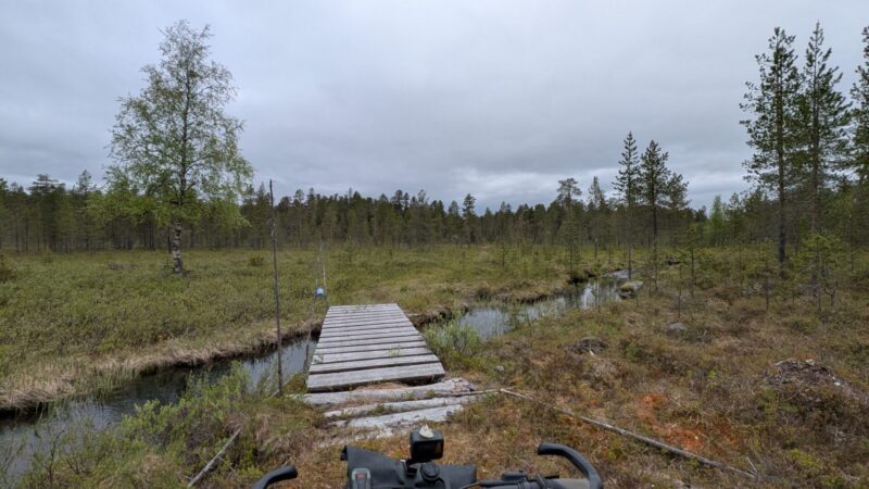 PXL_20250615_133625345