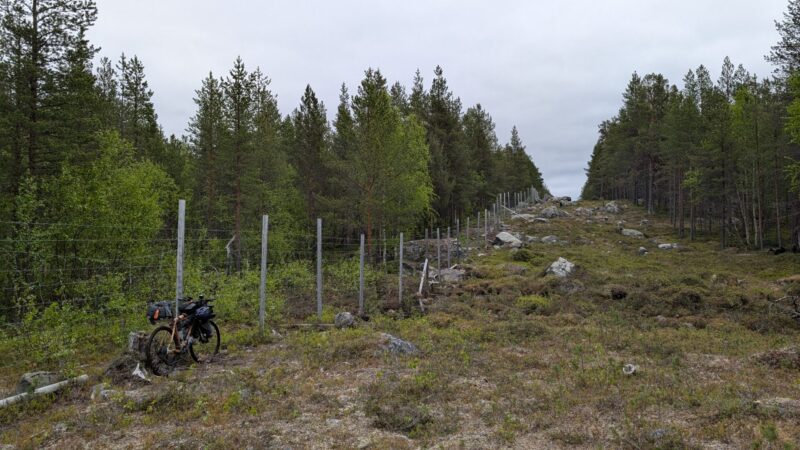 PXL_20250615_142834438