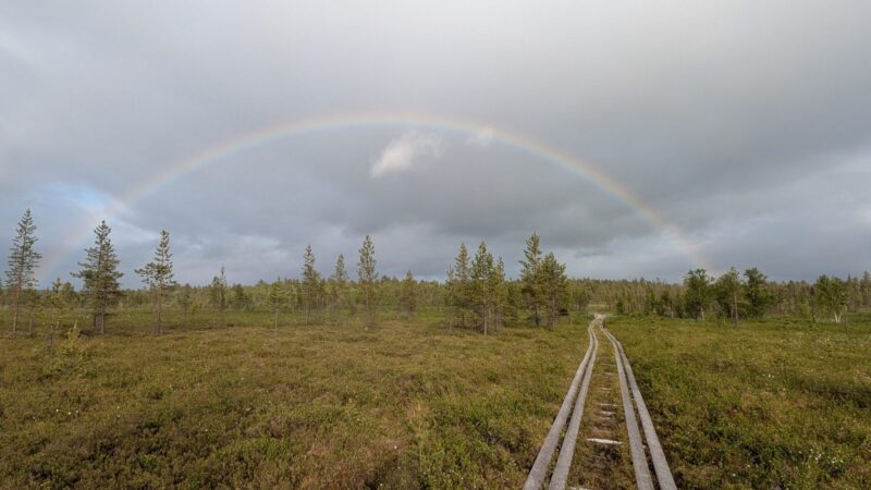 PXL_20250615_164109655