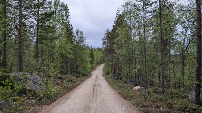 PXL_20250615_201001580