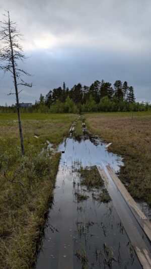 PXL_20250615_170528337