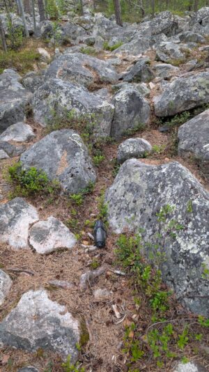 PXL_20250615_174753528