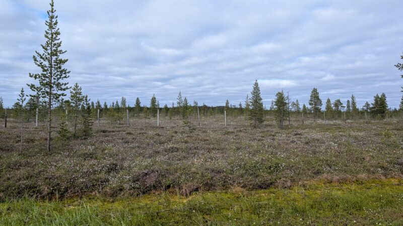 PXL_20250616_140749003