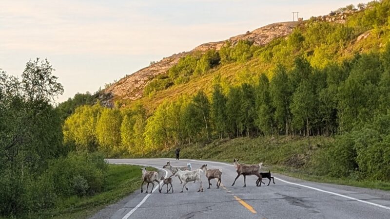 PXL_20250616_194204471~2