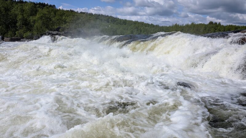 PXL_20250617_094458960