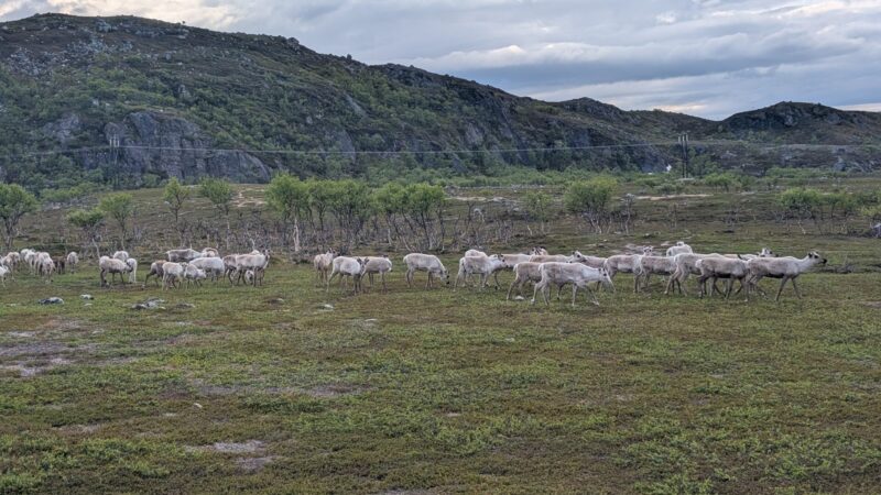 PXL_20250617_144541327