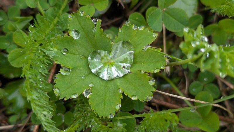 PXL_20250618_075507418.PORTRAIT