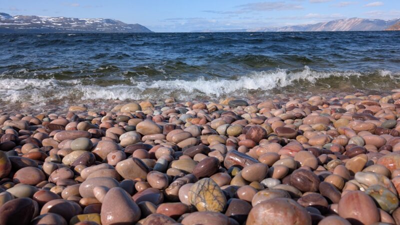 PXL_20250618_144905684