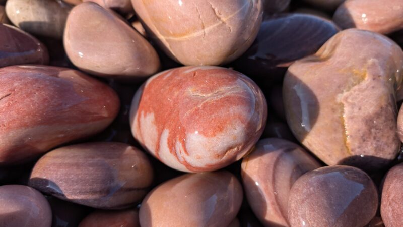 PXL_20250618_151212571