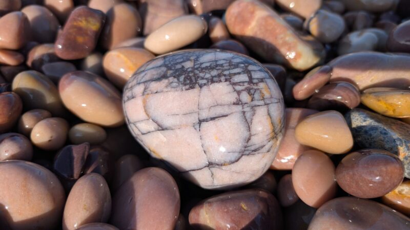 PXL_20250618_152714069