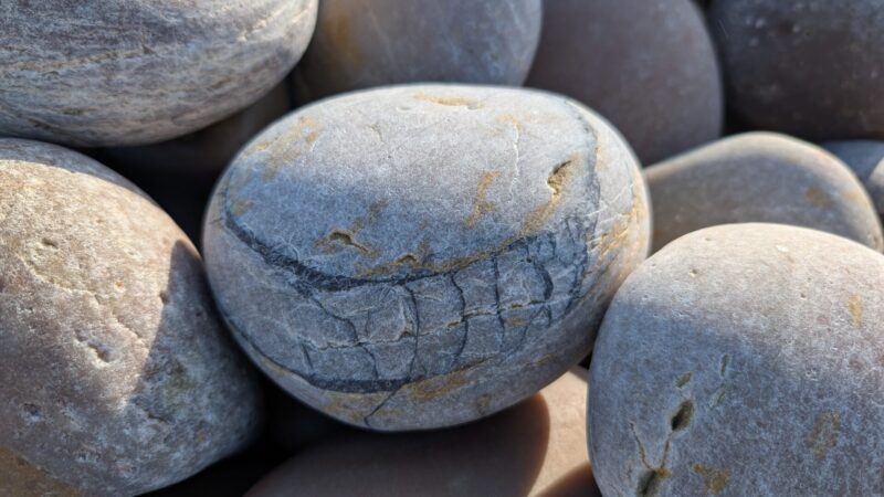 PXL_20250618_155829520