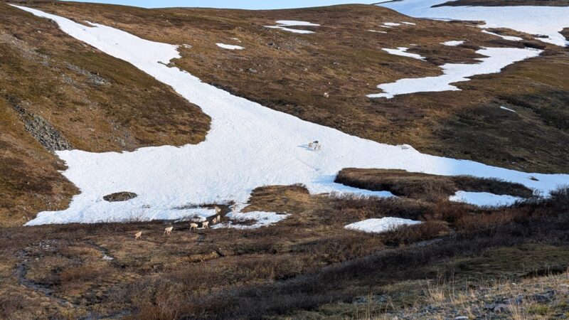 PXL_20250618_182331109