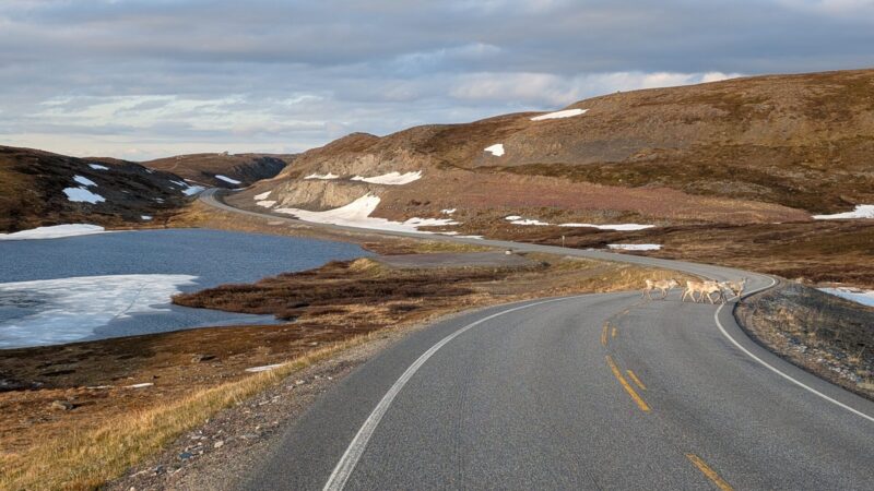 PXL_20250618_184013290