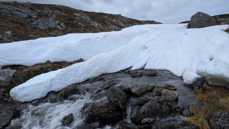 PXL_20250619_083635550