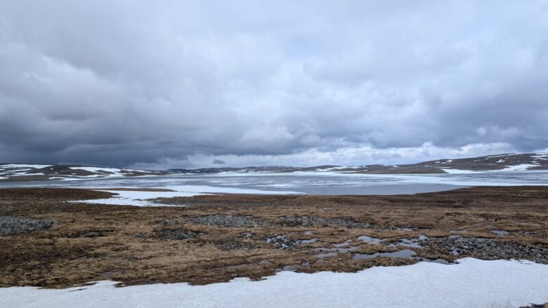 PXL_20250619_094358346