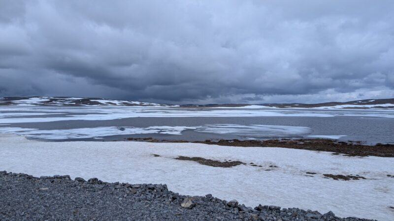 PXL_20250619_094532406