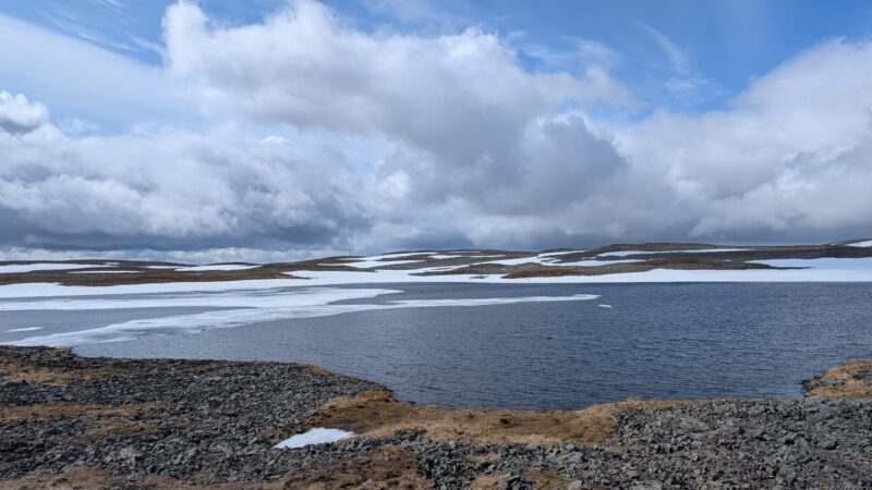 PXL_20250619_112550858