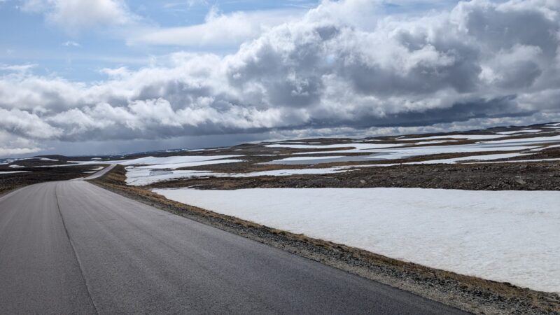 PXL_20250619_113059578